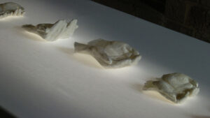 Annita Argyroiliopoulou Prothesis