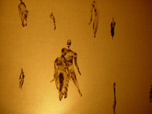 Annita Argyroiliopoulou Fylaki Fotos