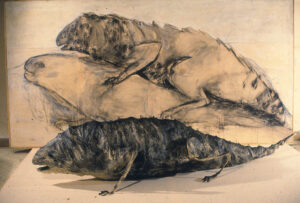 Annita Argyroiliopoulou Sxedia Zwa