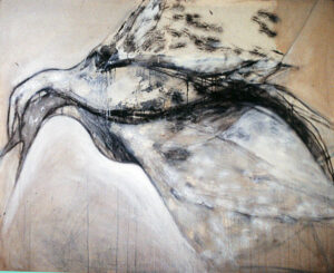 Annita Argyroiliopoulou Sxedia Zwa