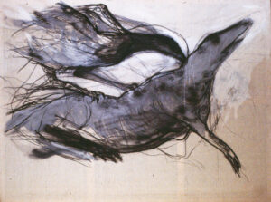 Annita Argyroiliopoulou Sxedia Zwa