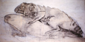 Annita Argyroiliopoulou Sxedia Zwa