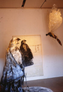 Annita Argyroiliopoulou Sxedia Zwa