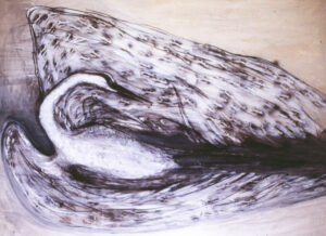 Annita Argyroiliopoulou Sxedia Zwa